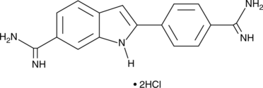 DAPI溶液(配制,使用方法,步驟)