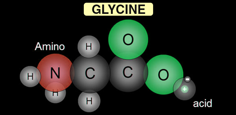 甘氨酸的（介紹，工作原理，好處）